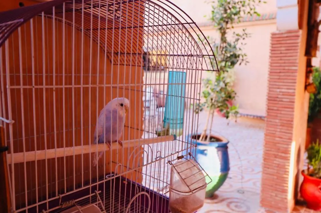 Hotel Dar Diafa Jannat Marrakesch